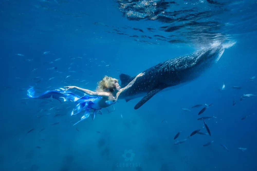 Photography: Mermaids — 01 81fed5b752eaf0c5b5d13b0043bed497