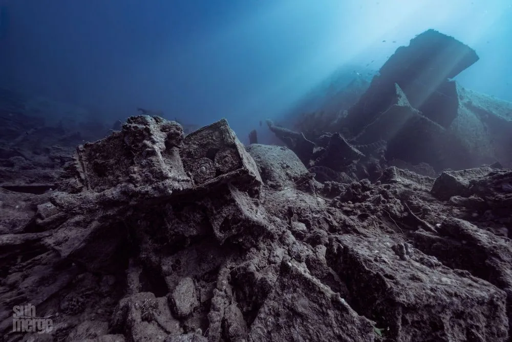 Diving, Modeling, and Underwater Photography in the Red Sea — 01 dsc00613 wm