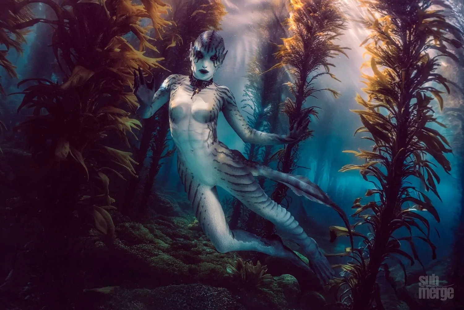 Creature Magic at MerMagic Con with Creature Fins — 01 ff 1c156f3e27f3c1901404b03351a9500a f