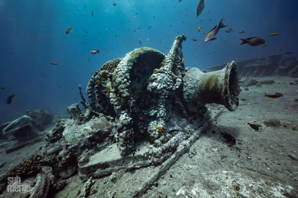Diving, Modeling, and Underwater Photography in the Red Sea — 02 dsc00645 wm