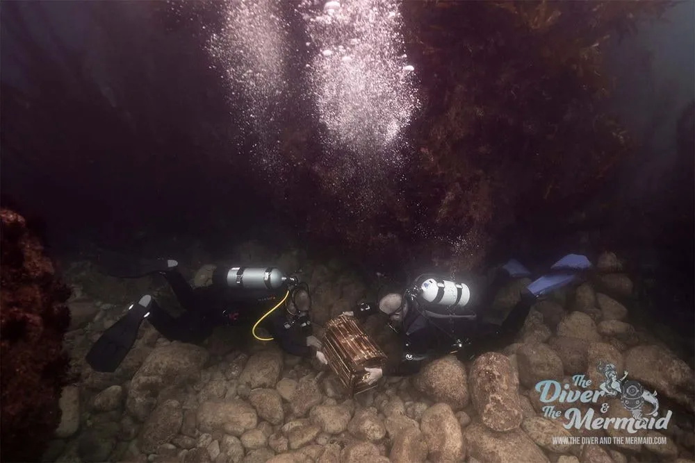 Underwater Film Production Stills Portfolio — 03 9252d9a29670e279f059685ae2b80fe7