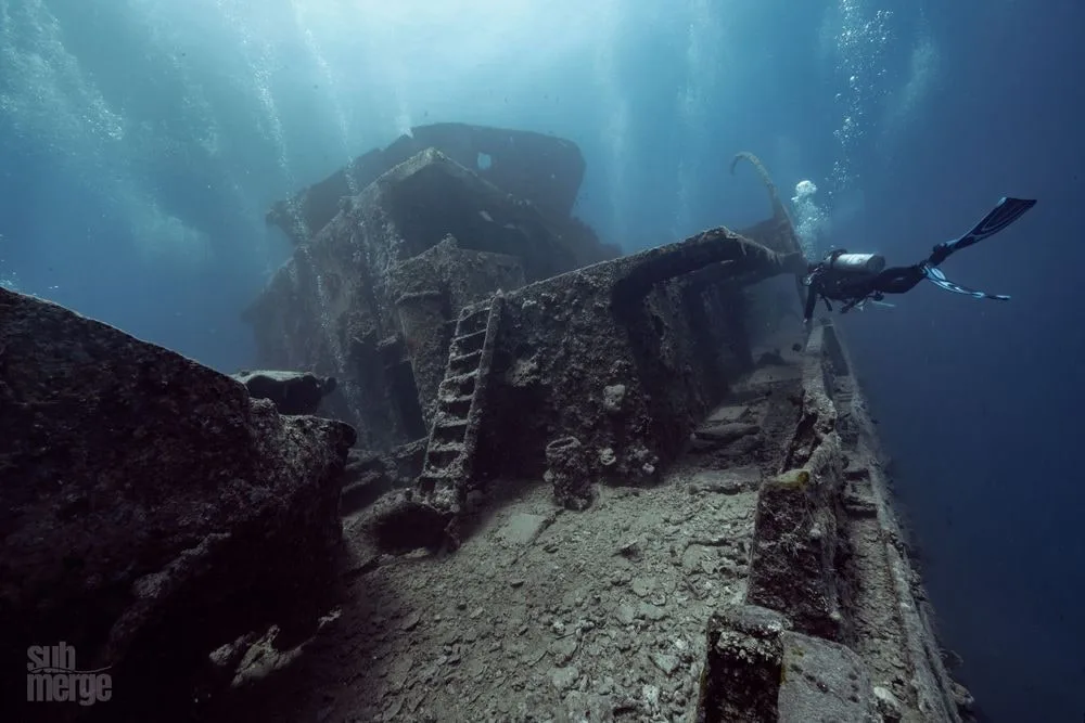 Diving, Modeling, and Underwater Photography in the Red Sea — 03 dsc00620 wm
