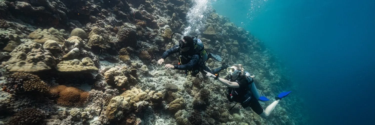 Roatan 2026: SCUBA Certifcation Adventure — 03 scuba wide 11