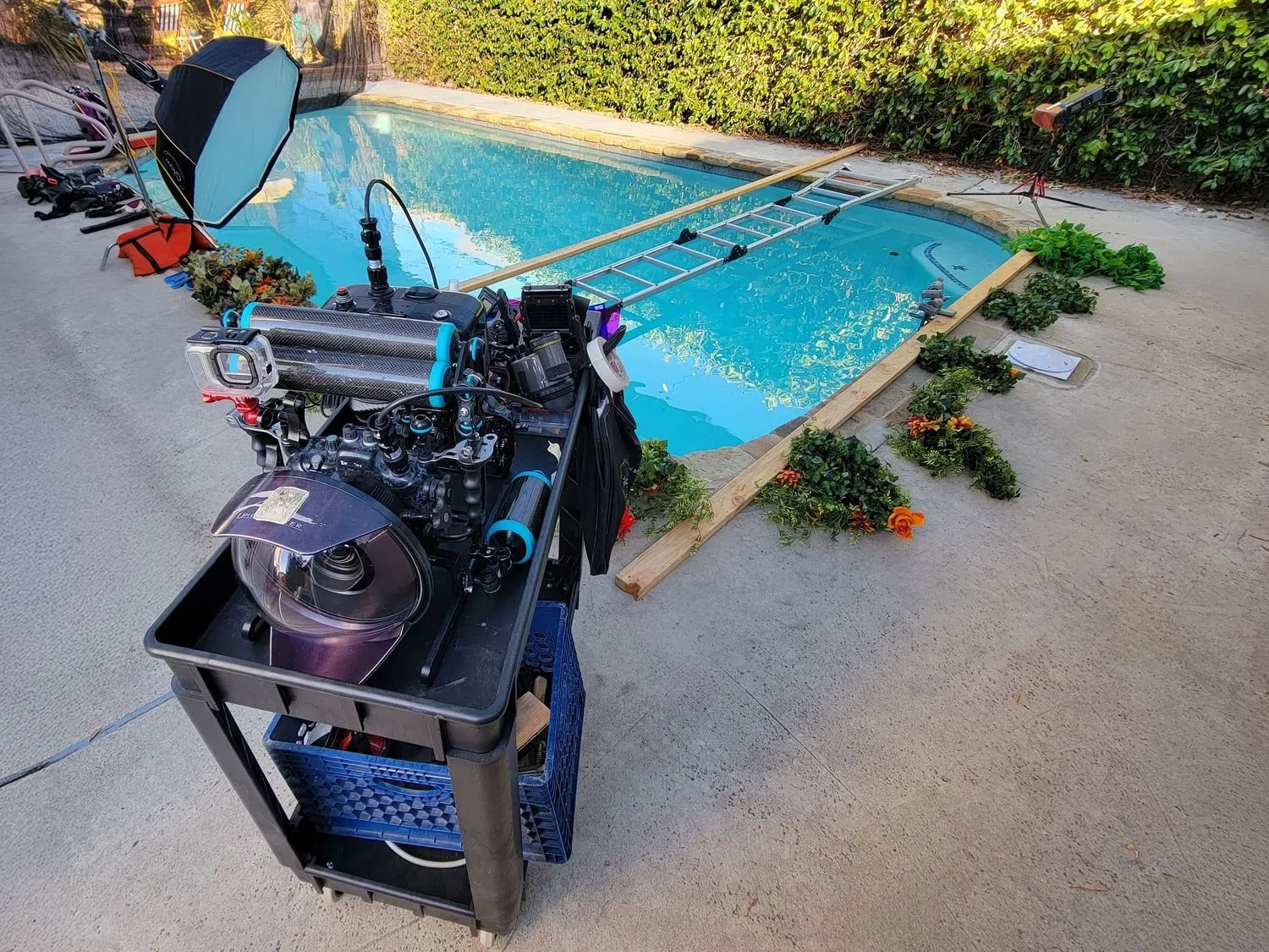 Underwater Portrait Photography in Southern California — 04 20241116 080234