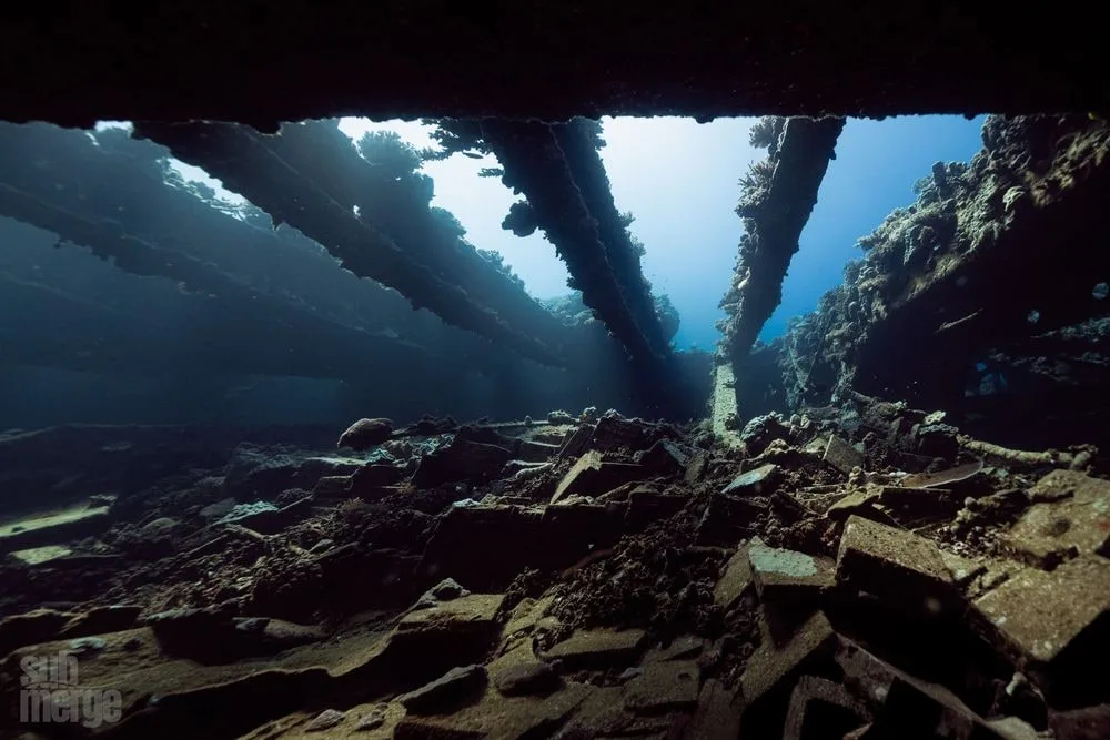 Diving, Modeling, and Underwater Photography in the Red Sea — 04 dsc09404 wm
