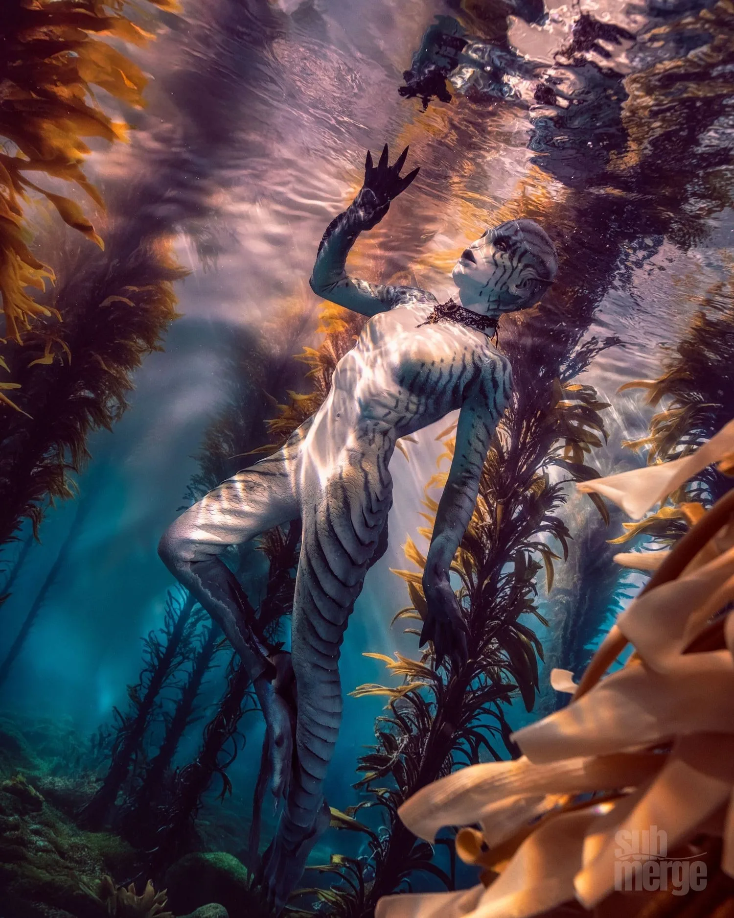 Creature Magic at MerMagic Con with Creature Fins — 03 ff 87d8505a1004111055d6c71759d4f6c9 f