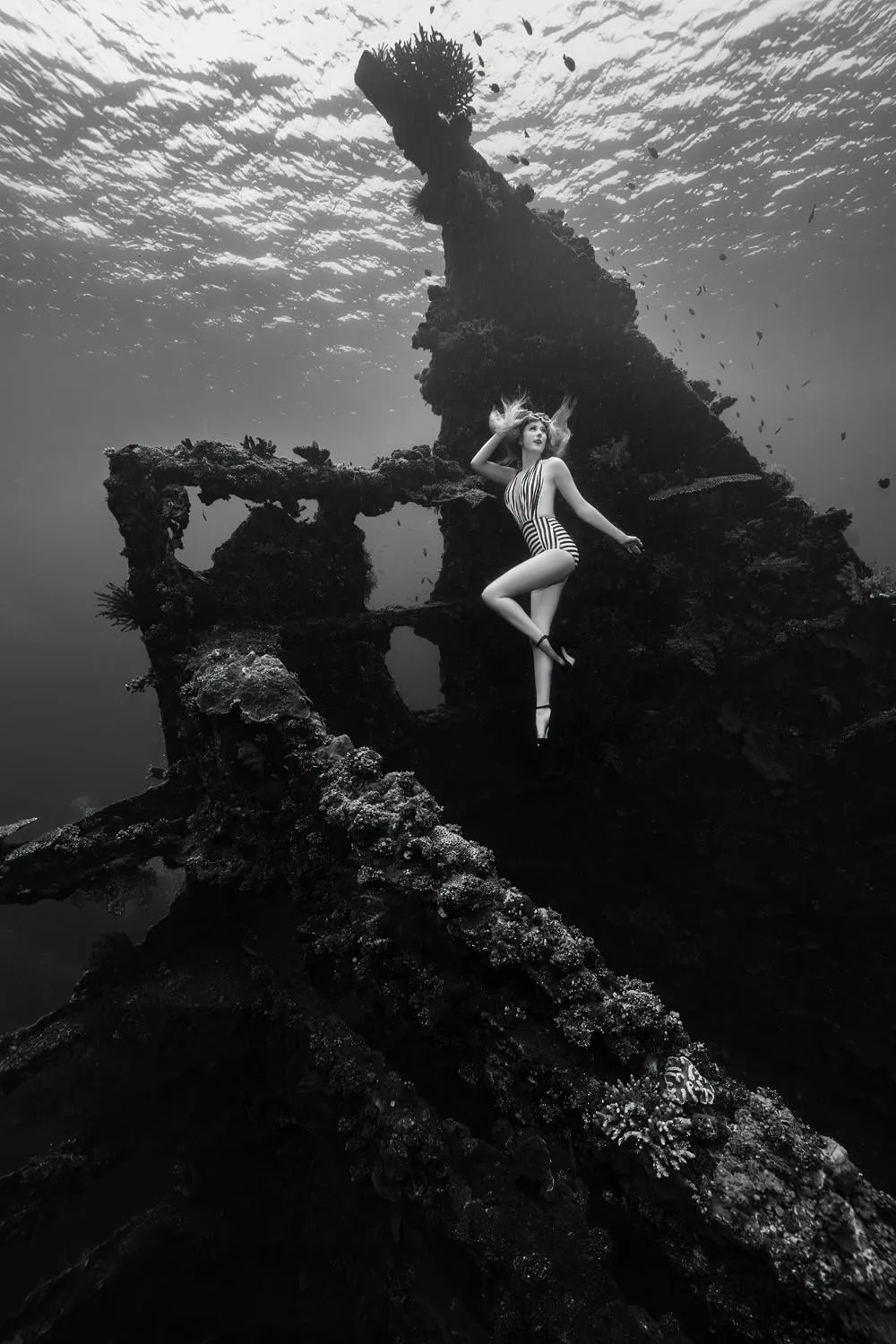 Deep Sea Darling: Liberty Shipwreck — 06 a23123aff84fc7ac643c34d893471f02