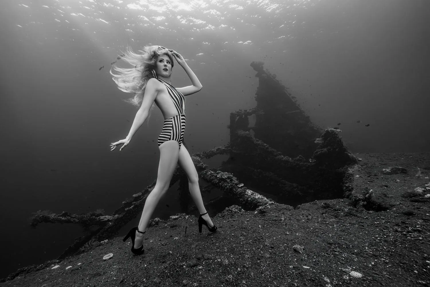 Deep Sea Darling: Liberty Shipwreck — 07 c8439192dea1e6e83f88f662ca5071cc