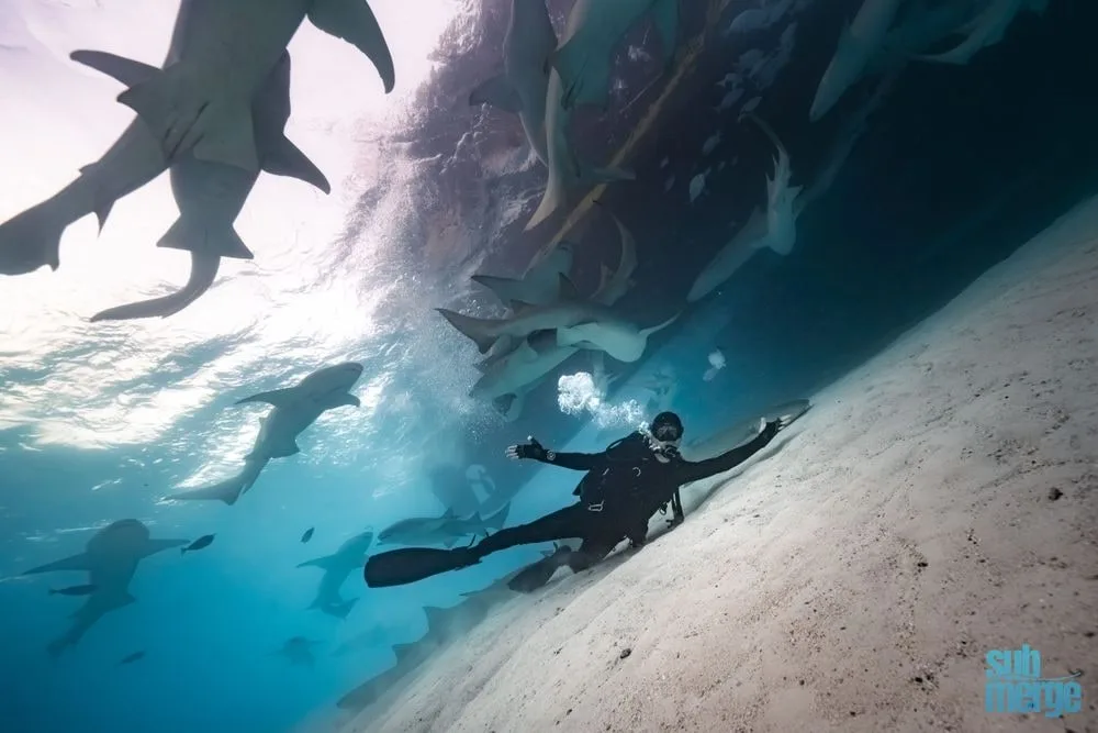 Maldives 2026: Underwater Modeling Adventure — 07 dsc05628 full wm