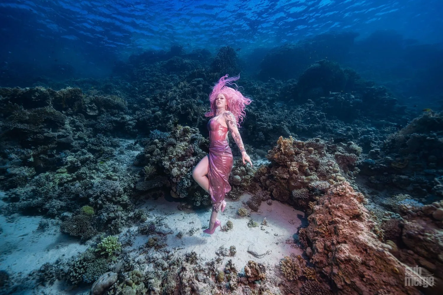 Diving, Modeling, and Underwater Photography in the Red Sea — 08 dsc09209 wm
