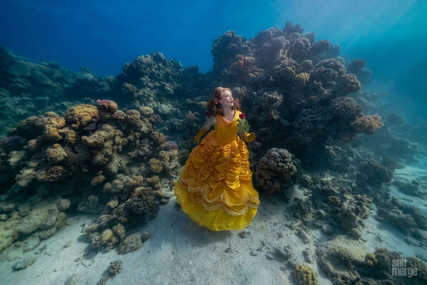 Diving, Modeling, and Underwater Photography in the Red Sea — 09 dsc00348 wm