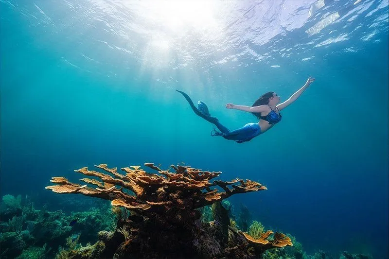 Roatan 2026: Underwater Modeling Adventure — 09 square5