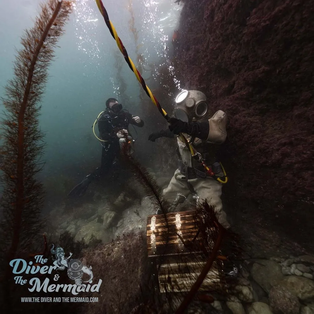 Underwater Film Production Stills Portfolio — 10 516227fc846113c3ddcd9a2dc4036677