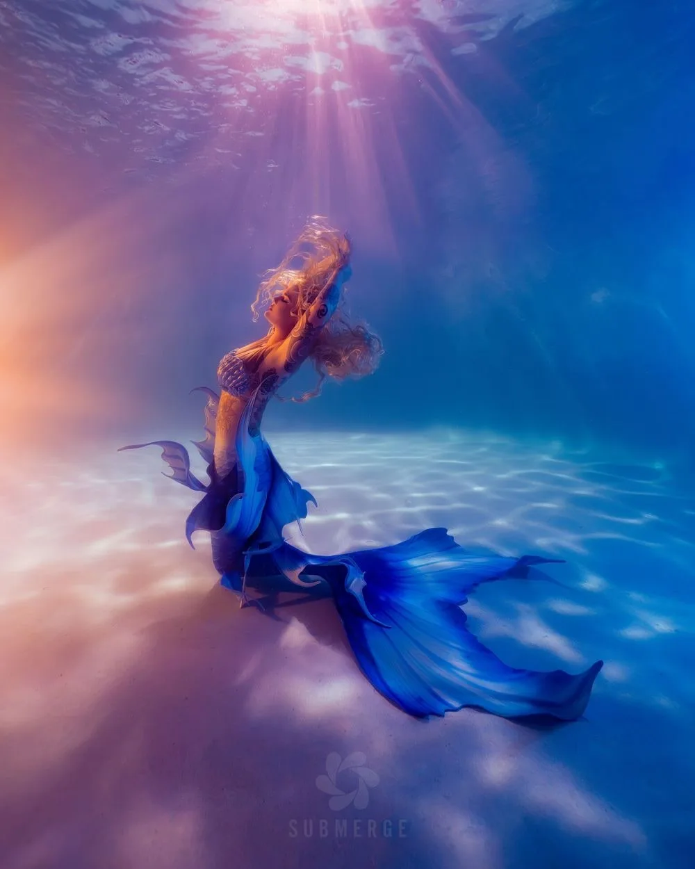 Roatan 2026: Underwater Portrait Photography Adventure — 10 dsc00719 full