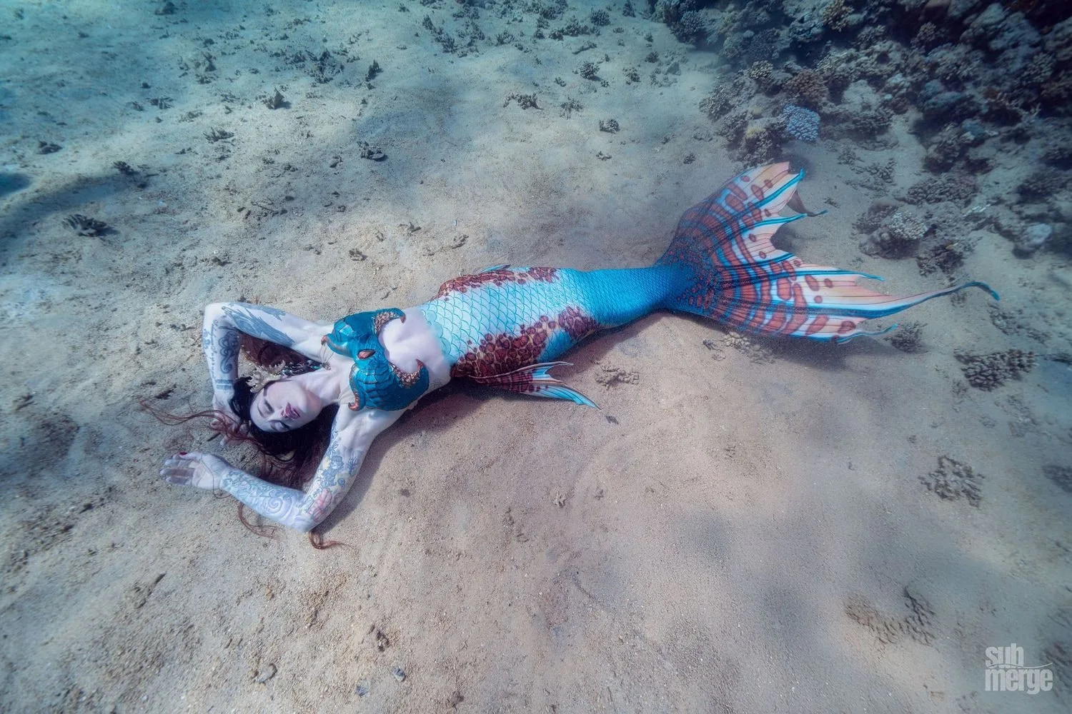 Diving, Modeling, and Underwater Photography in the Red Sea — 10 dsc09747 wm