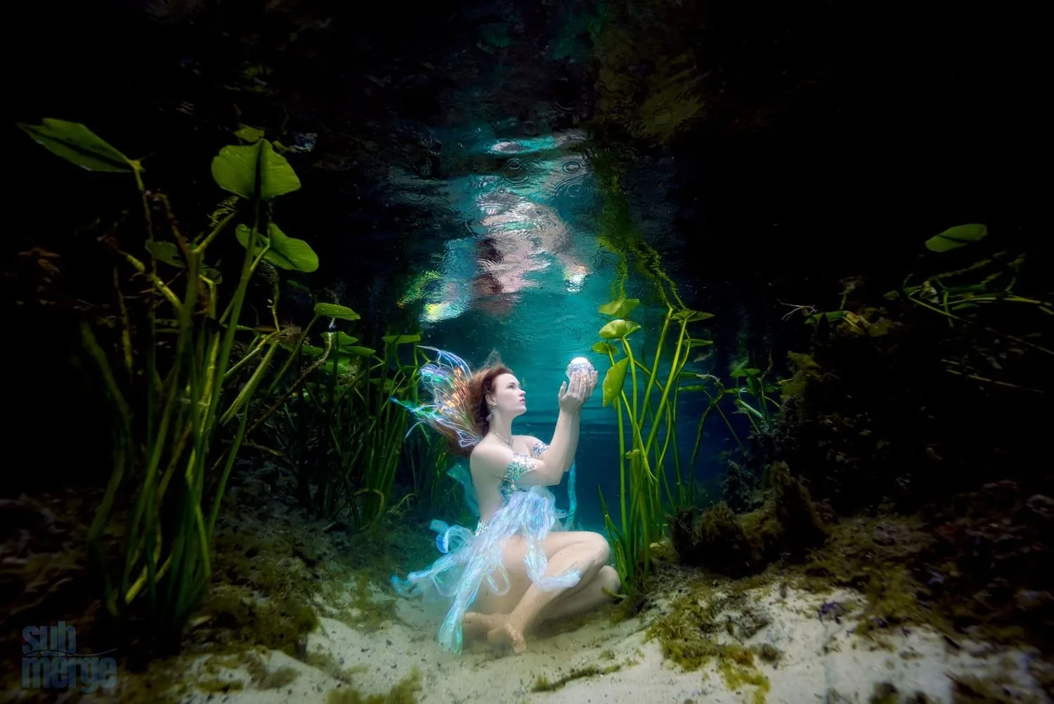 Underwater photography — 10 e7c7a3ce24a6f13be30293ac5bd45634