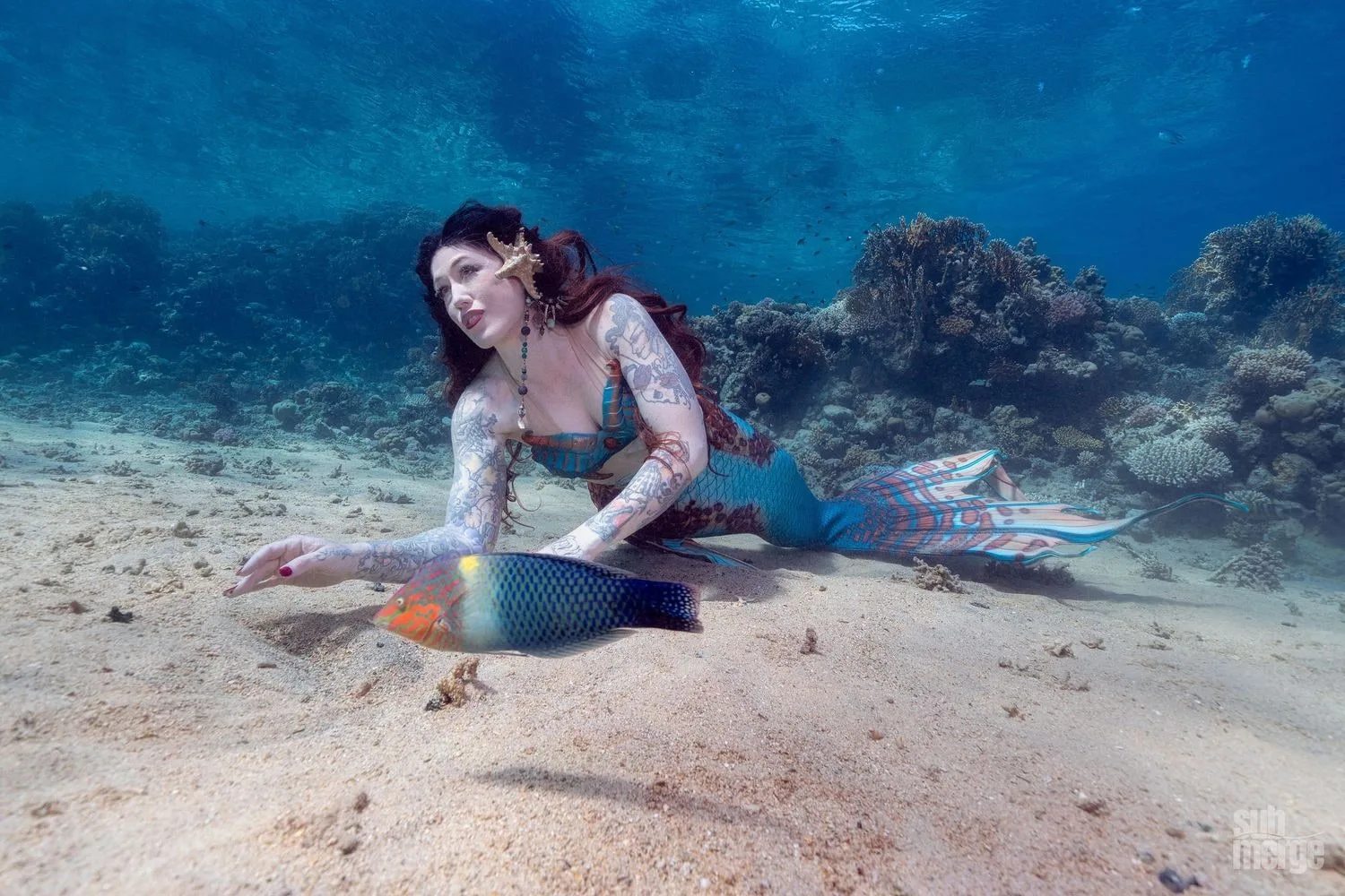 Diving, Modeling, and Underwater Photography in the Red Sea — 11 dsc09733 wm