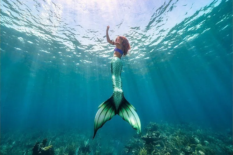 Roatan 2026: Underwater Modeling Adventure — 18 square7