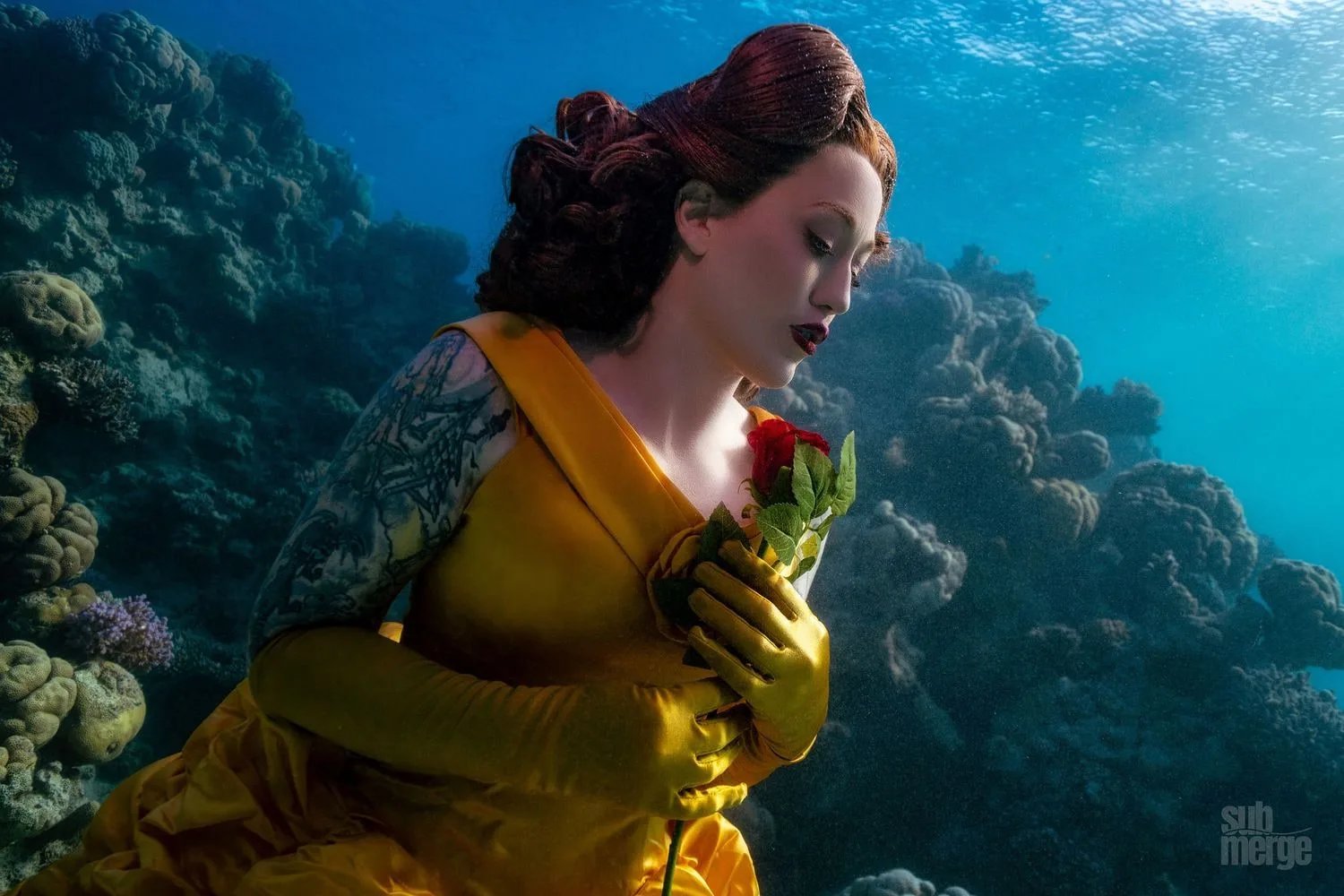 Diving, Modeling, and Underwater Photography in the Red Sea — 13 dsc00422 wm