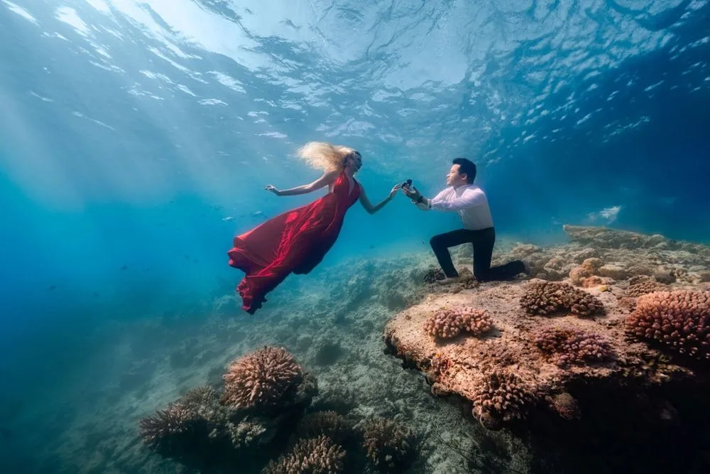 Dive Into Love — 13 dsc07552 clean