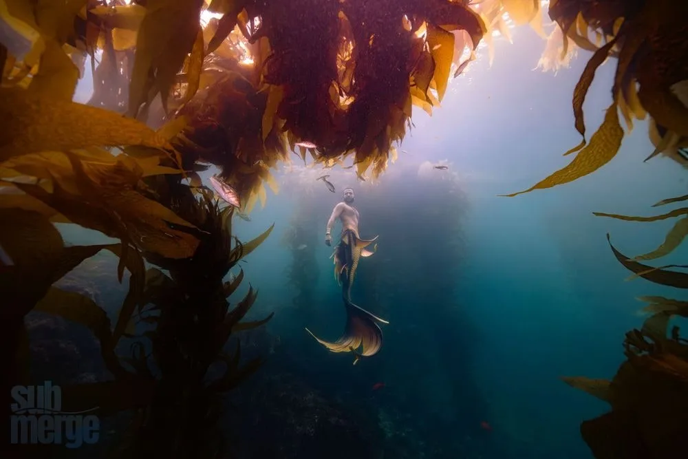 Photography: Mermaids — 14 dsc01332 full