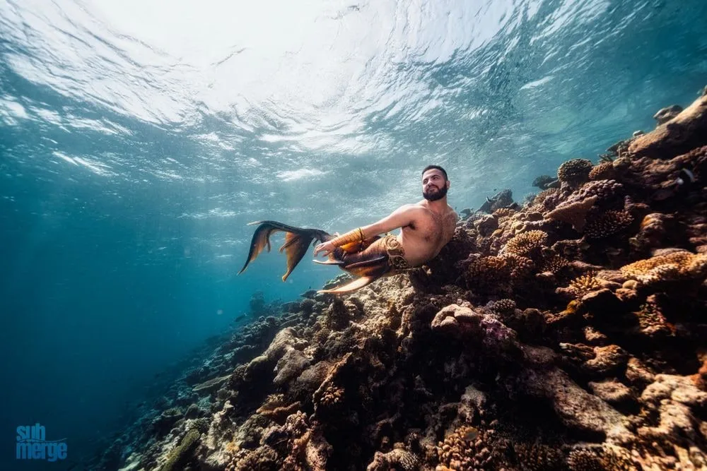 Maldives 2026: Underwater Modeling Adventure — 14 dsc05470 wm