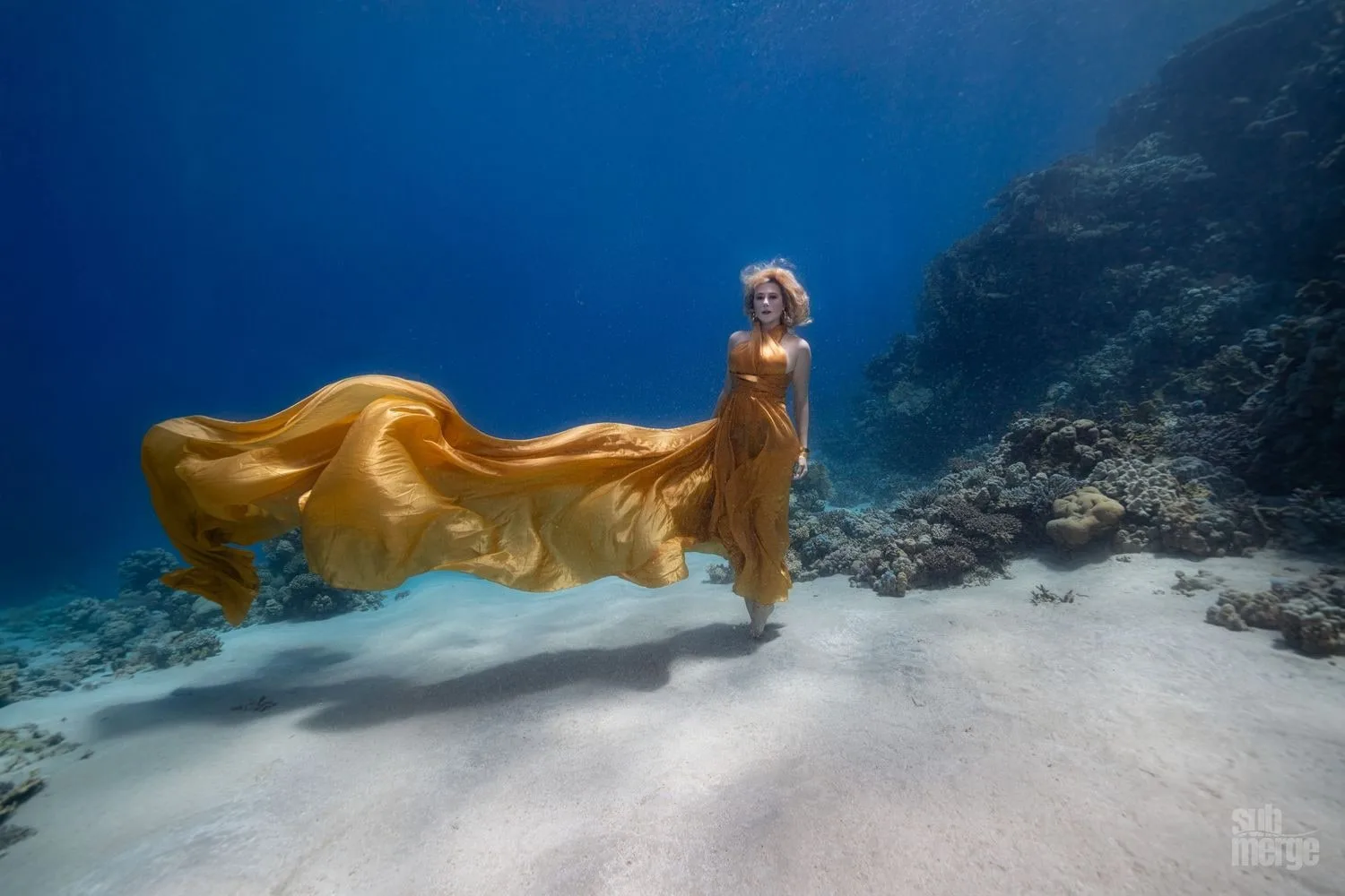 Diving, Modeling, and Underwater Photography in the Red Sea — 15 dsc09483 wm