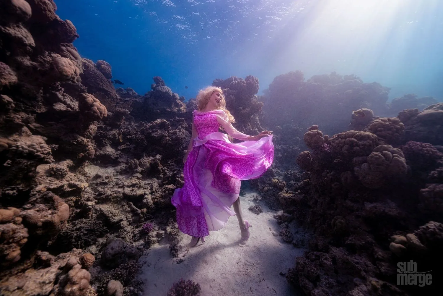 Diving, Modeling, and Underwater Photography in the Red Sea — 16 dsc00436 wm
