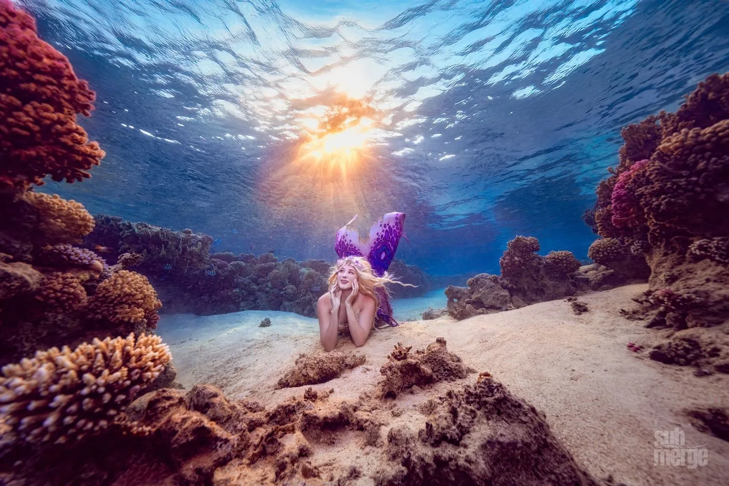 Diving, Modeling, and Underwater Photography in the Red Sea — 17 dsc00004 wm
