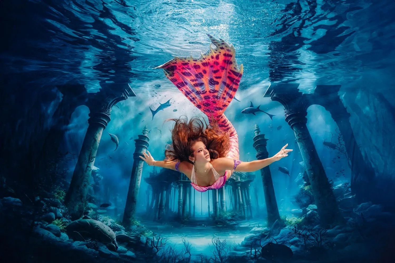 Underwater photography — 18 dsc08342 clean