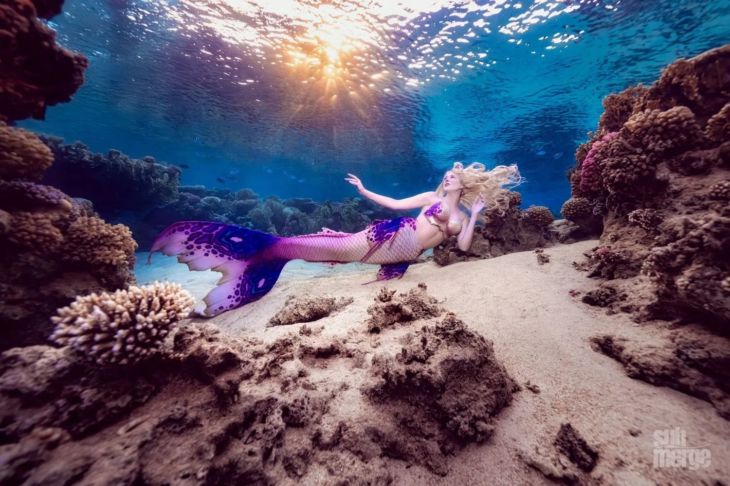 Diving, Modeling, and Underwater Photography in the Red Sea — 19 dsc00052 wm