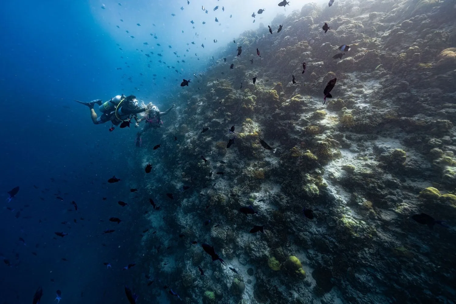 Underwater photography — 19 dsc07172 clean