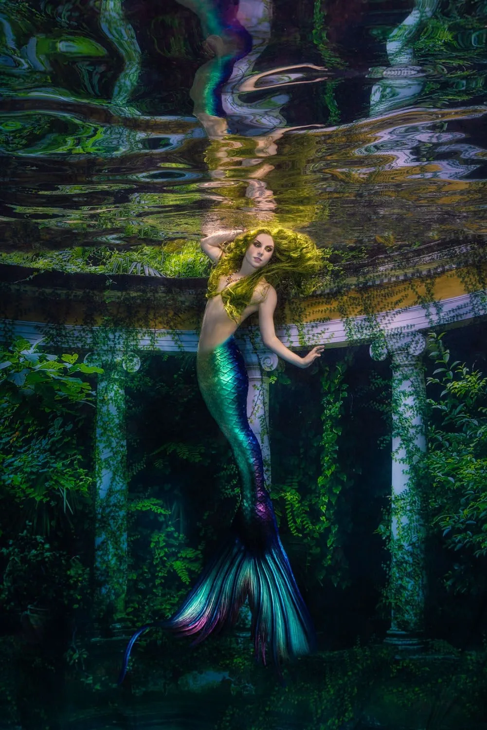 Underwater photography — 24 e4625b2a26e56bd840c3aa7112b6c052