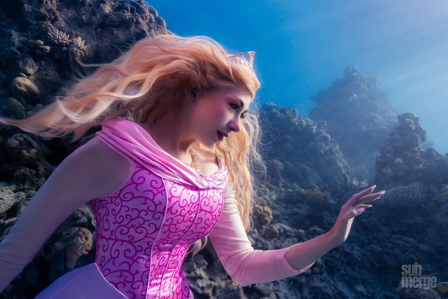 Diving, Modeling, and Underwater Photography in the Red Sea — 20 dsc00519 wm