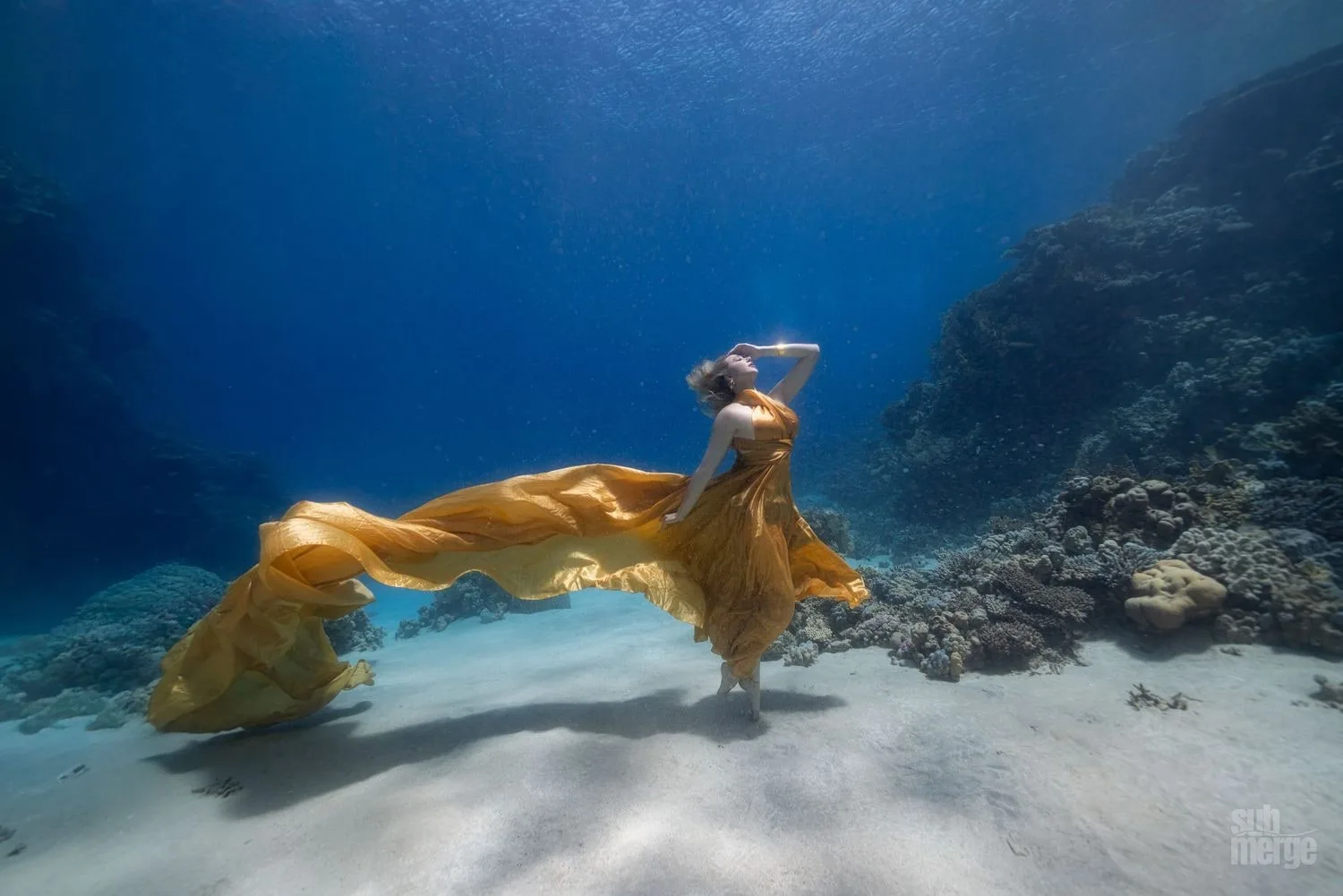 Diving, Modeling, and Underwater Photography in the Red Sea — 21 dsc09492 wm