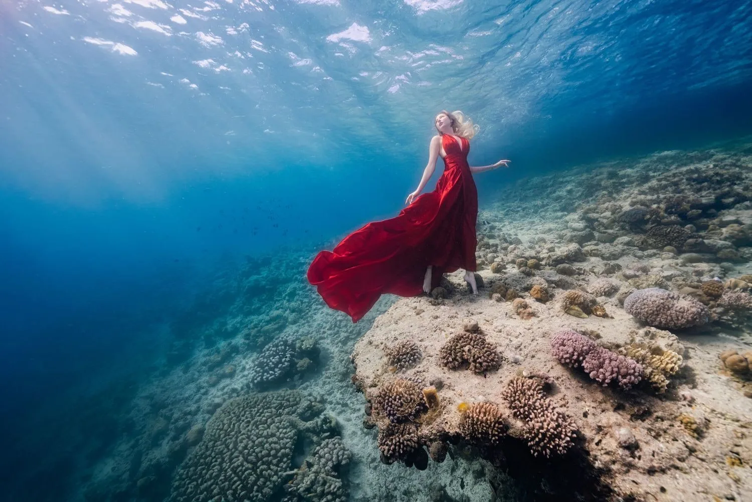Roatan 2026: Underwater Modeling Adventure — 23 dsc07763 clean