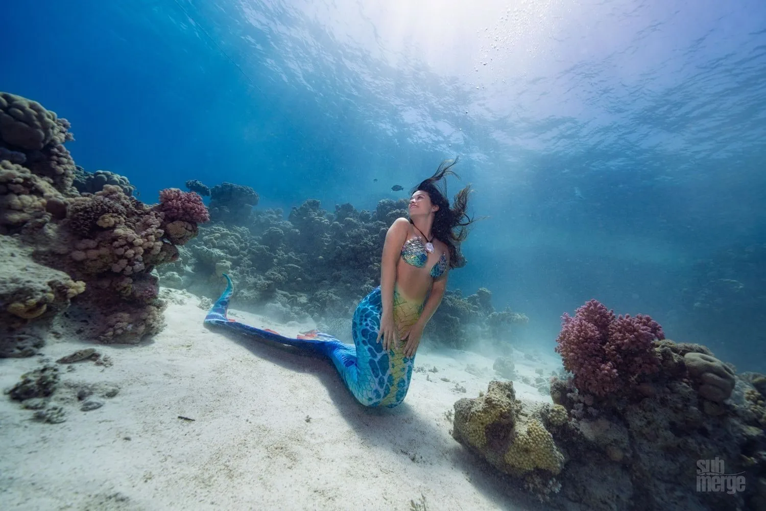 Diving, Modeling, and Underwater Photography in the Red Sea — 24 dsc00124 wm