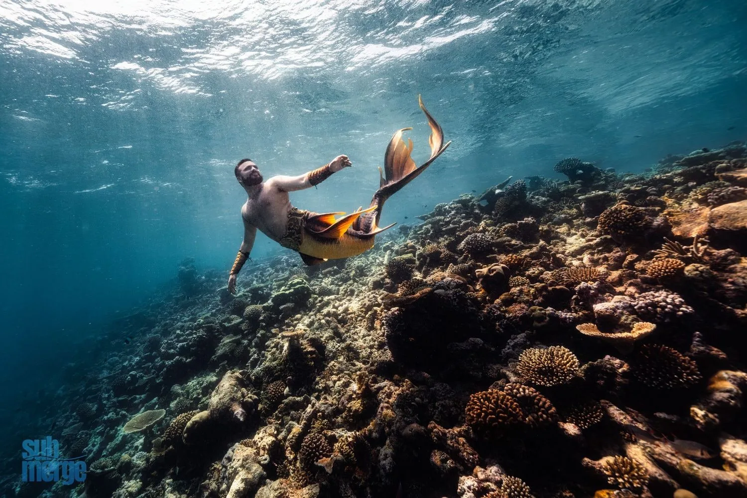 Roatan 2026: Underwater Modeling Adventure — 24 dsc05477 wm