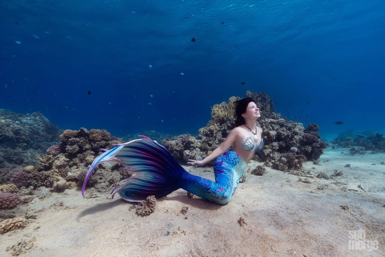 Diving, Modeling, and Underwater Photography in the Red Sea — 25 dsc09775 wm