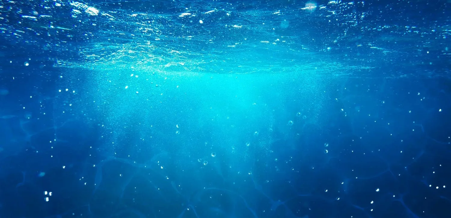 Underwater photography — 26 67b961753164274aa308a73e47d7b53f