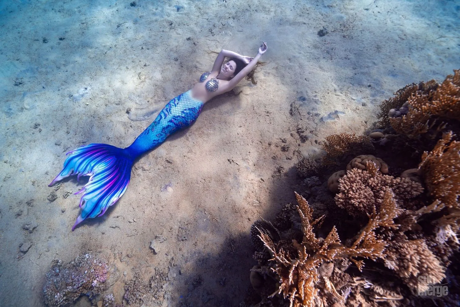Diving, Modeling, and Underwater Photography in the Red Sea — 26 dsc09900 wm