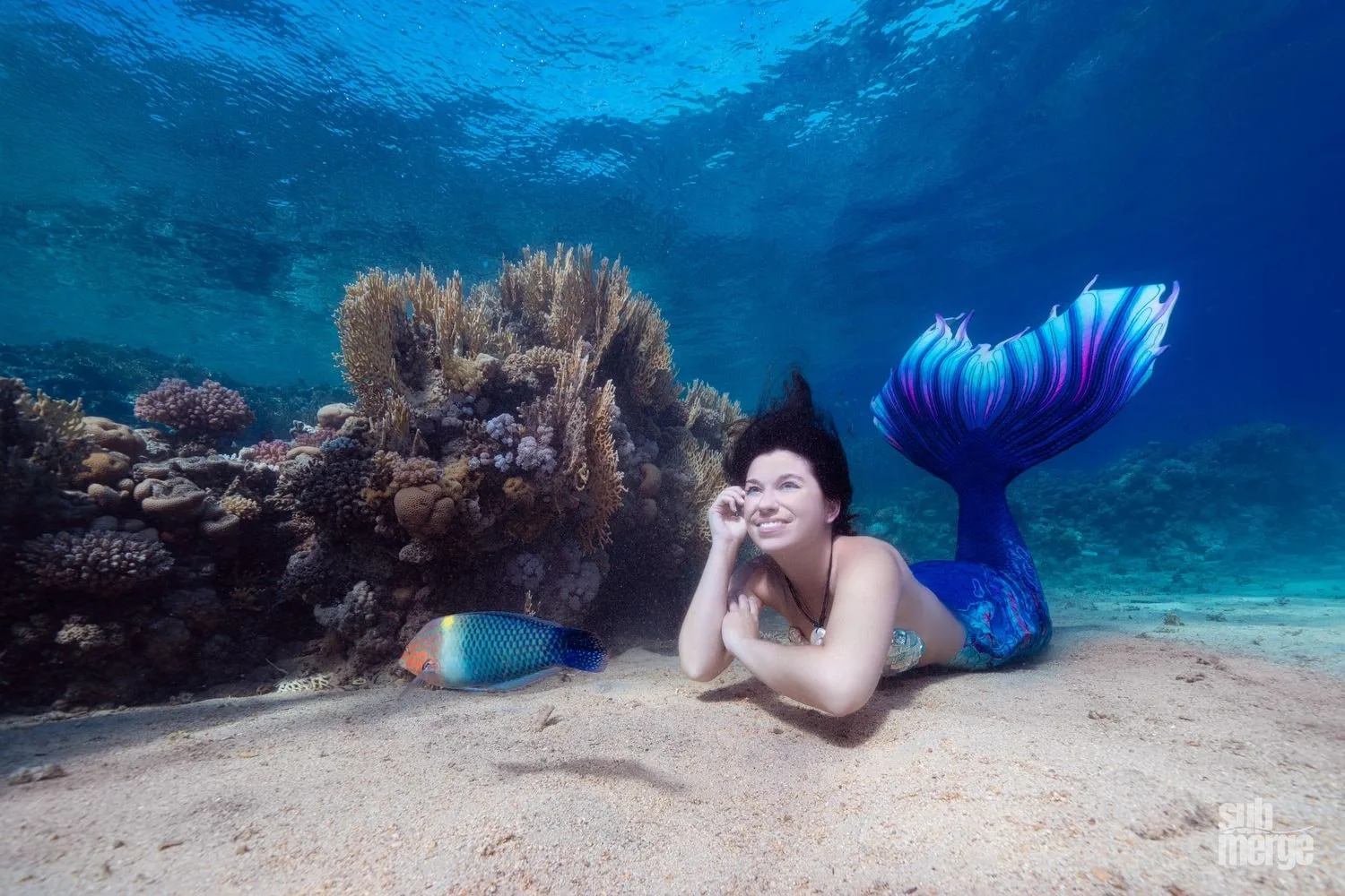 Diving, Modeling, and Underwater Photography in the Red Sea — 27 dsc09842 wm