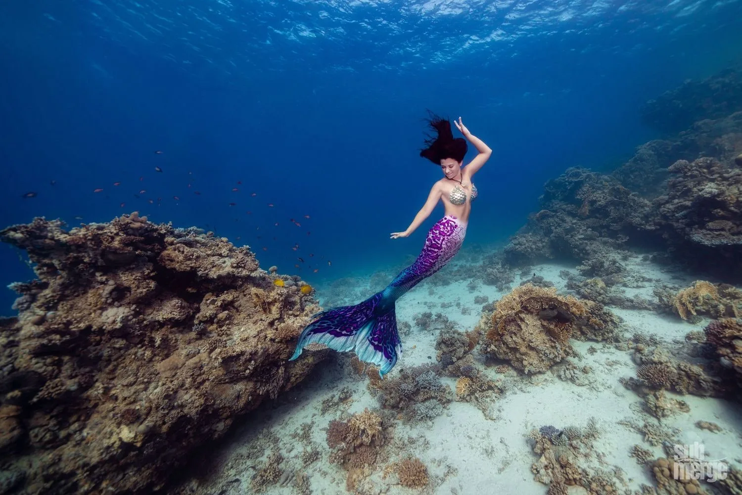 Diving, Modeling, and Underwater Photography in the Red Sea — 28 dsc09147 wm
