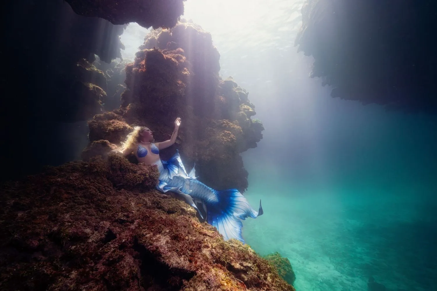 Roatan 2026: Underwater Modeling Adventure — 29 dsc01873 clean