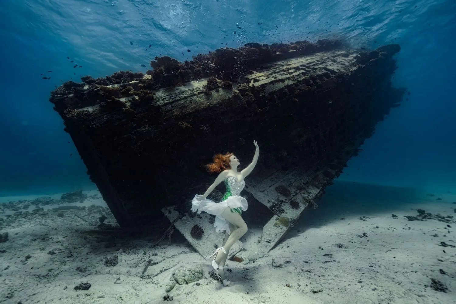 Roatan 2026: Underwater Modeling Adventure — 30 dsc00848 clean