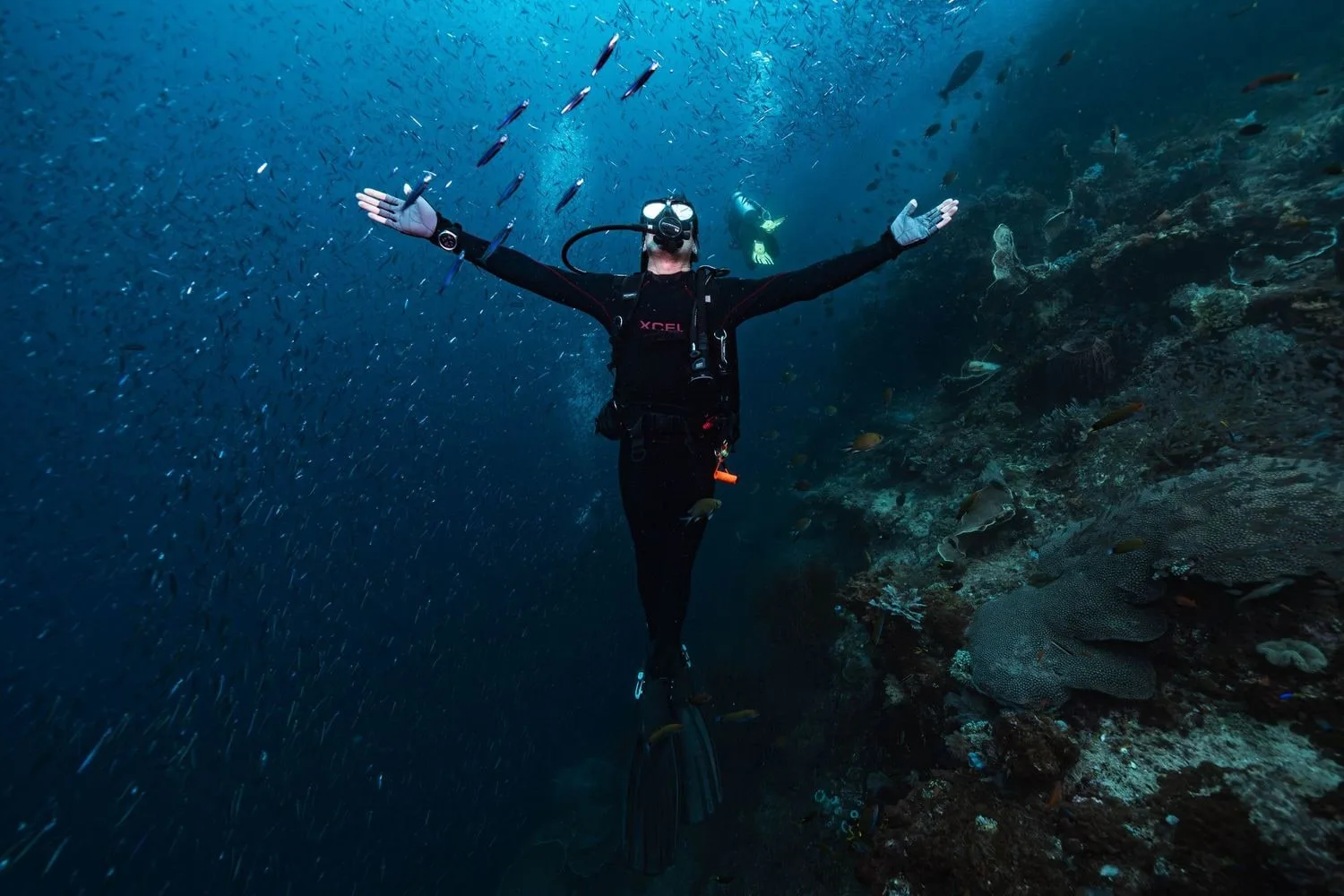 Underwater photography — 30 dsc04461 enhanced nr