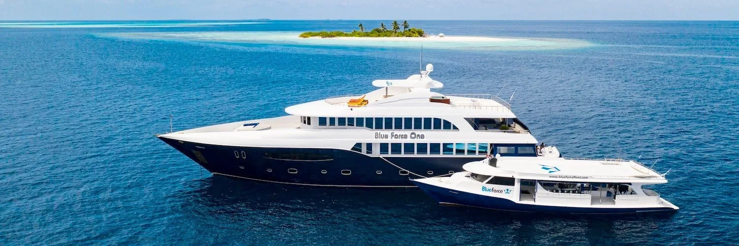 Maldives 2026: Underwater Modeling Adventure — 33 image asset2