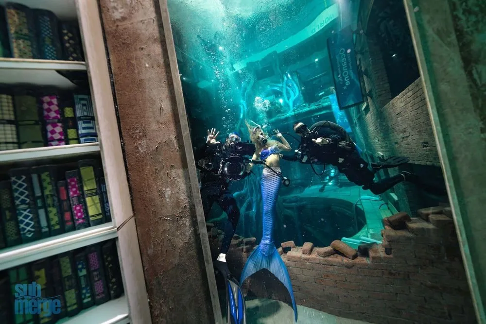 Elite Underwater Modeling & Photography Workshop at Deep Dive Dubai — 36 dsc02903 enhanced nr