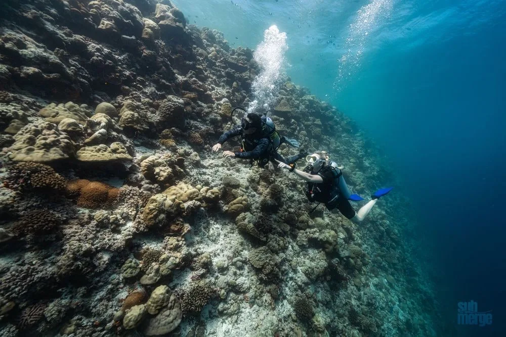 Roatan 2026: SCUBA Certifcation Adventure — 45 dsc07062 wm