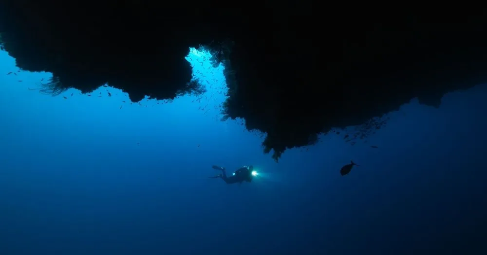 Roatan 2026: SCUBA Certifcation Adventure — 53 dsc06159 enhanced nr